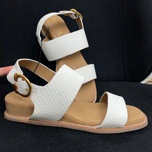 White Open Toe Sandals with Gold Buckle